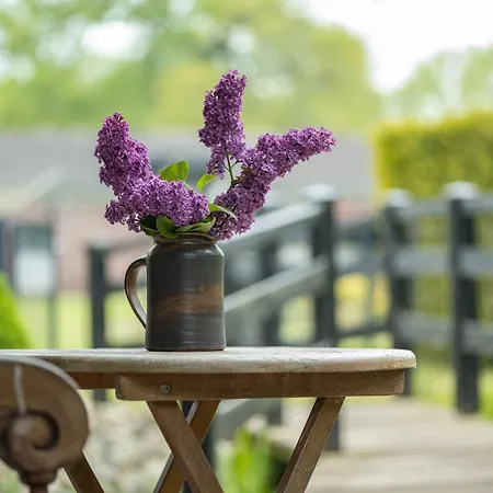 Nyaraló Groenhoff 35122 *