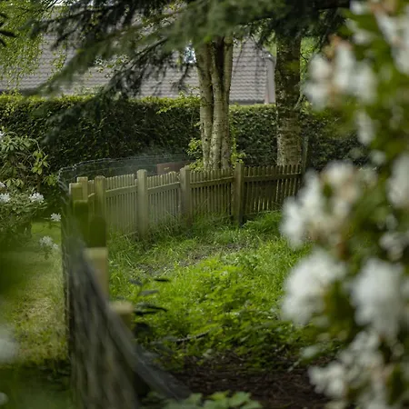 Nyaraló Groenhoff 35122 Hesel