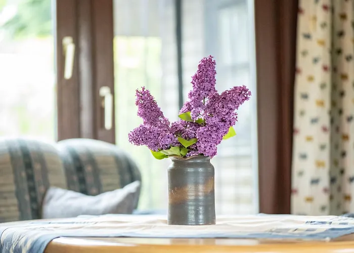 Groenhoff 35122 * Хезель